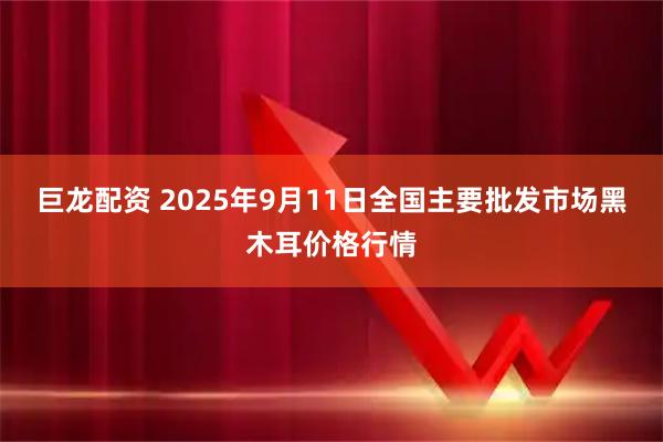 巨龙配资 2025年9月11日全国主要批发市场黑木耳价格行情