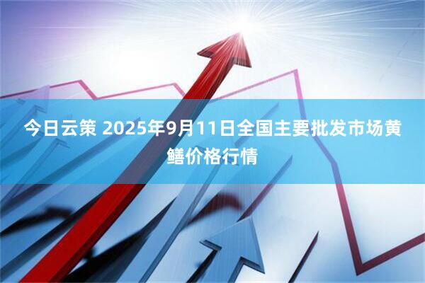 今日云策 2025年9月11日全国主要批发市场黄鳝价格行情