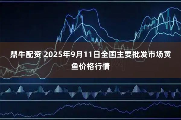 鼎牛配资 2025年9月11日全国主要批发市场黄鱼价格行情
