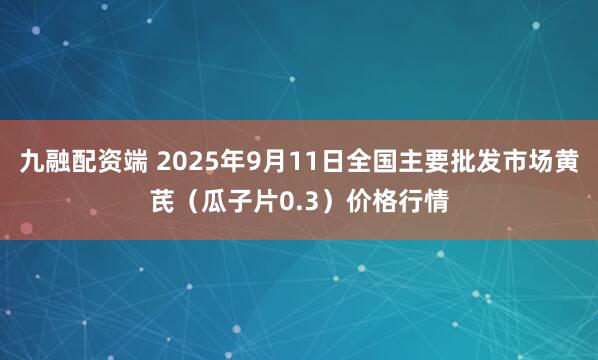 九融配资端 2025年9月11日全国主要批发市场黄芪（瓜子片0.3）价格行情
