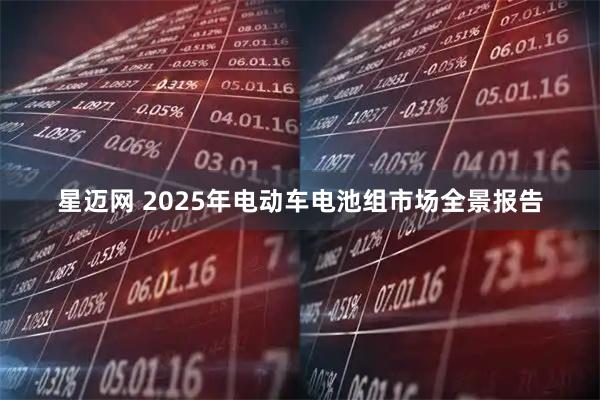 星迈网 2025年电动车电池组市场全景报告