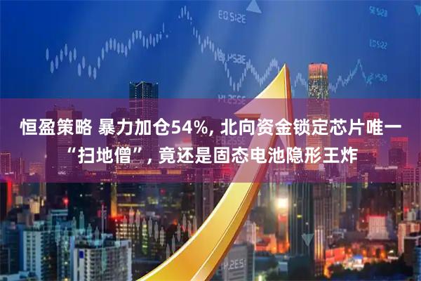 恒盈策略 暴力加仓54%, 北向资金锁定芯片唯一“扫地僧”, 竟还是固态电池隐形王炸