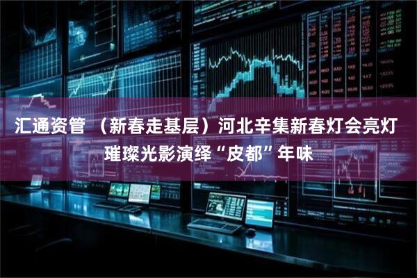 汇通资管 （新春走基层）河北辛集新春灯会亮灯 璀璨光影演绎“皮都”年味