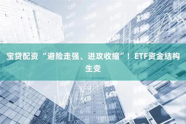 宝贷配资 “避险走强、进攻收缩”！ETF资金结构生变