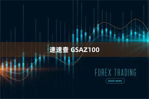速速查 GSAZ100